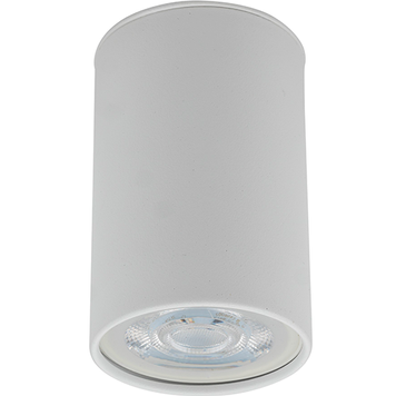 Точечный светильник TK LIGHTING TKL5766 TOP WHITE 1 PUNKTOWA TKL5766 фото