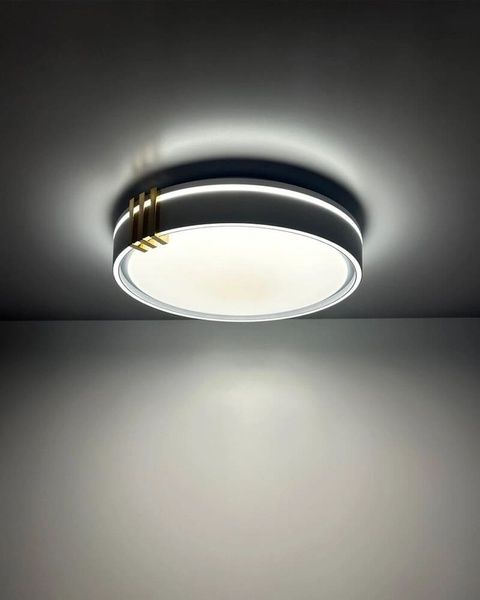 Люстра с пультом светодиодная, потолочный светильник Goldlux 328847 Arletta 40 Led 1x48W 3000K-6000K 5200Lm IP44 Серый 095406 фото