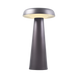 Уличная настольная лампа DFTP ARCELLO 2220155050 1xLED 5W, 2700K, IP54 2220155050 фото 1