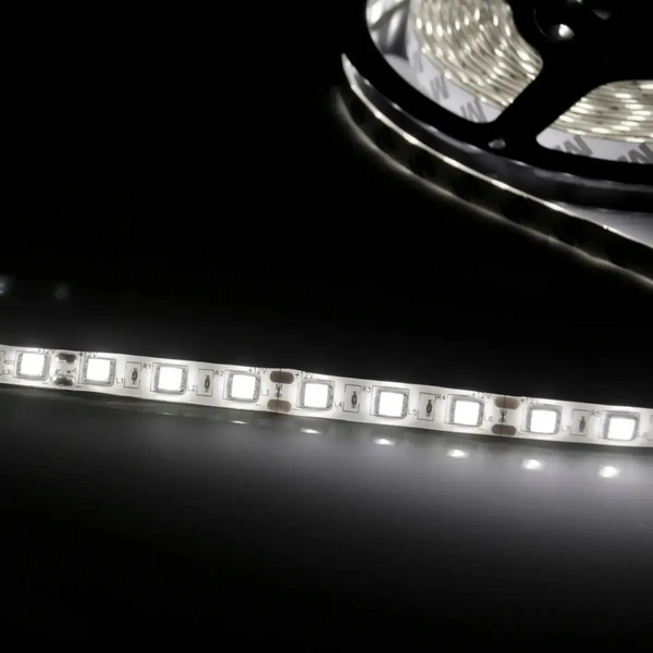 Светодиодная лента POLUX 5901508309044 SMD LED 12V DC IP20 2400lm 4000K 5901508309044 фото