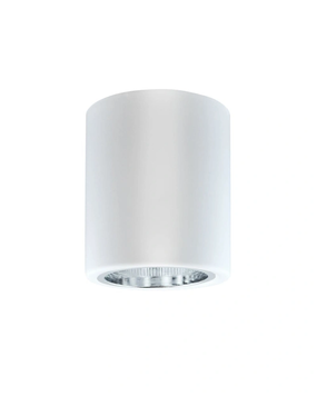 Точечный светильник Polux Jupiter E27 1x20W IP20 WH 5901508307170 5901508307170 фото