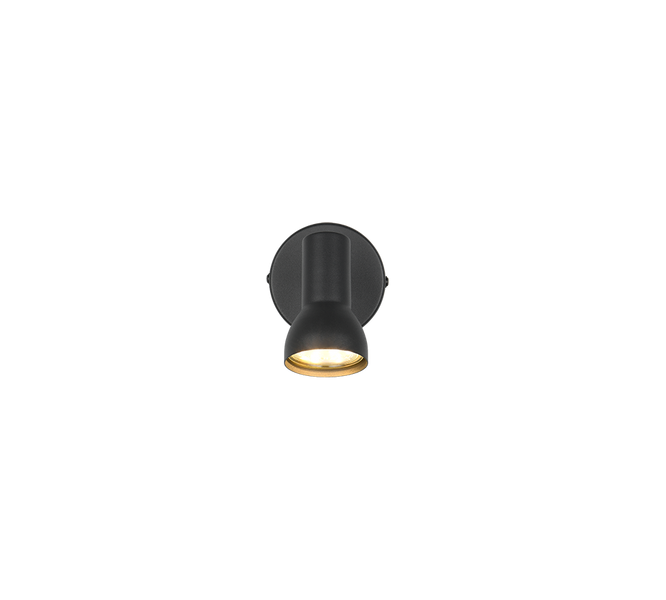 Спот TRIO R81792031 CANTAR IP20 R81792031 фото