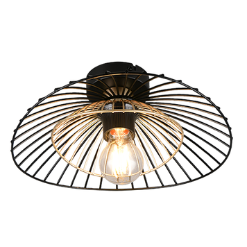 Потолочный светильник TRIO R66791032 LAURIS IP20 R66791032 фото