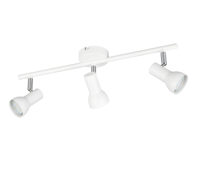 Спот TRIO R81793031 CANTAR IP20 R81793031 фото