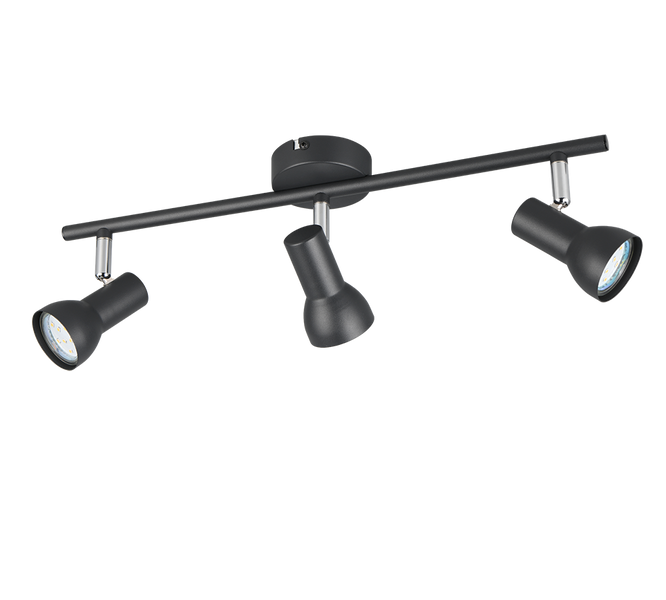 Спот TRIO R81793032 CANTAR IP20 R81793032 фото