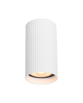 Точковий світильник Italux CLN-83920-S-WH Rilok GU10 1x10W IP20 Wh 073067 фото