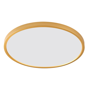 Светильник потолочный Zuma Line WM-BP1108-M-G Cami Led 1x42W 3000K/4000K/6000K 3480Lm IP20 WM-BP1108-M-G фото
