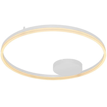 Світильник стельовий Azzardo AZ4958 Halo LED 1x55W 3000K 4700Lm IP20 AZ4958 фото