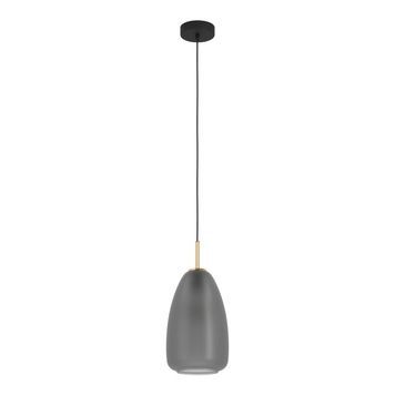 Підвісний світильник Eglo Е900506 ALOBRASE pendant light Е900506 фото