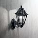 Вуличний світильник Ideal Lux IL101491 DAFNE AP1 BIG NERO 1хЕ27 IP55 чорний IL101491 фото 2