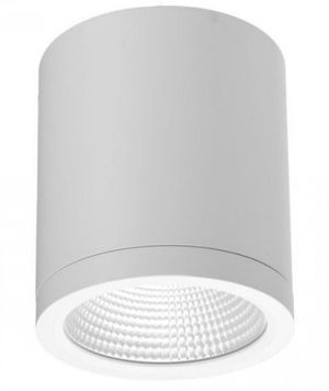 Точечный светильник Azzardo AZ6030 CONYON IP54 25W CCT SWITCH WH, 25 Вт, 1400 лм, 3000К/4000К/6000К AZ6030 фото