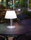 Уличная настольная лампа POLUX 5901508325457 Viola LED 4000K 200/50/10Lm IP44 серебристый 5901508325457 фото 5