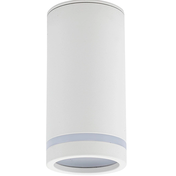 Точковий світильник TK LIGHTING TKL6919 JET WHITE DOWNLIGHT 1* GU10 TKL6919 фото