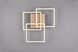 Потолочный светильник Reality by TRIO R62883135 MOBILE IP20 R62883135 фото 7