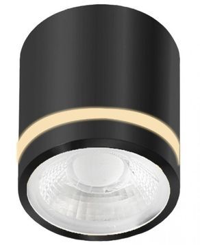 Світильник точковий Azzardo AZ6039 VICI IP44 12W CCT SWITCH BK AZ6039 фото
