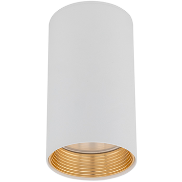 Точковий світильник TK LIGHTING TKL10719 AMIS WHITE DOWNLIGHT IP20 GU10 білий TKL10719 фото