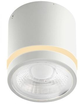 Світильник точковий Azzardo AZ6040 VICI IP44 12W CCT SWITCH WH AZ6040 фото