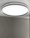 Люстра потолочная POLUX  5901508326683 Barbara 50 Led 1x72W 3000K-6000K 8000Lm IP44 Wh 5901508326683 фото 2