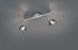 Спот Reality by TRIO R80592006 BREST IP20 R80592006 фото 3