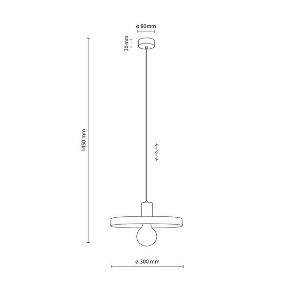 Підвісна люстра TK-Lighting TKL10761 SILA GREEN PEAPOD 1XE27 LAMPA WISZ?CA 300 IP20 зелений TKL10761 фото