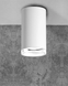 Точковий світильник Polux Turyn GU10 1x10W IP44 WH 5901508324771 5901508324771 фото 2