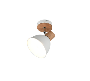 Спот TRIO R86671031 DELUME IP20 R86671031 фото