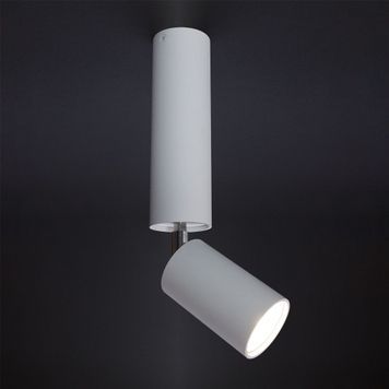 Спотовый светильник IMPERIUM LIGHT Accent 59129.01.01 MR16/GU10 IP20 белый / хром 59129.01.01 фото