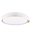 Люстра с пультом светодиодная, потолочный светильник Goldlux 328854 Arletta 50 Led 1x48W 3000K-6000K 8000Lm IP44 Серый 095407 фото 2