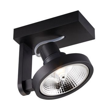 Спот Zuma Line ACGU10-181 Master ACGU10-181 фото