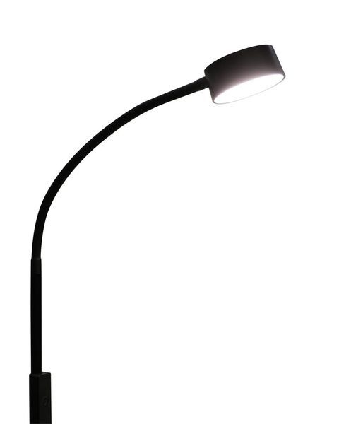 Торшер Polux Bruno LED 1x3W 3000K/4000K/6500K 400Lm IP20 черный 5901508330093 5901508330093 фото